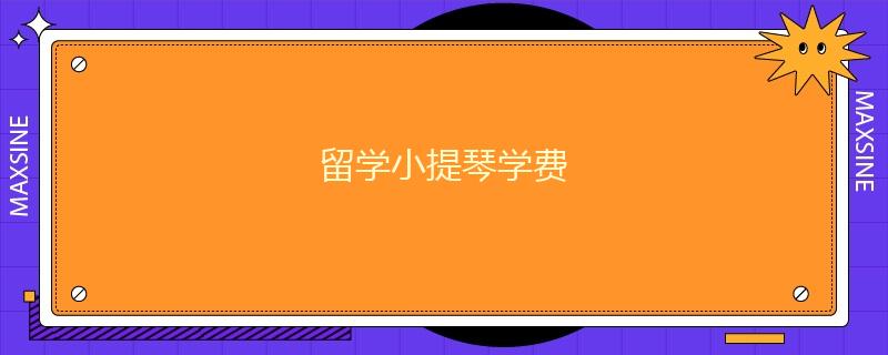 留學(xué)小提琴學(xué)費