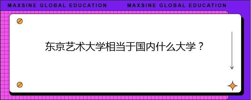 東京藝術(shù)大學(xué)相當(dāng)于國內(nèi)什么大學(xué)？