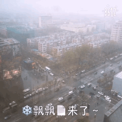 IMG_7928.GIF