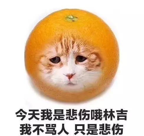 1538219559693996.jpg