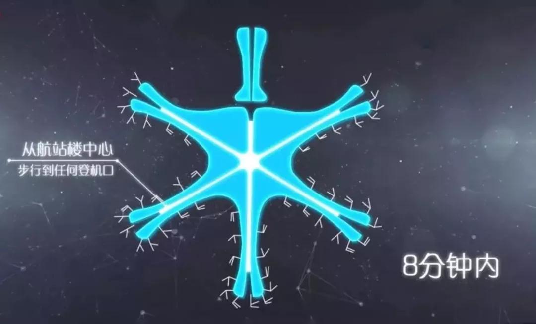1548924501836067.jpg