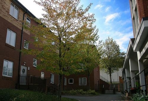 英國大學建筑專業(yè)排名