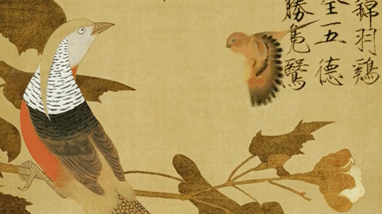 1555900187899751.gif
