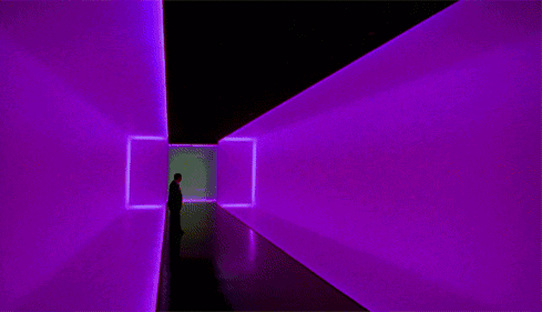 1559093751120501.gif
