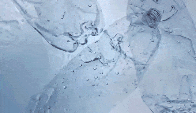 1571722584281677.gif