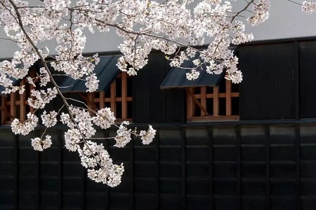 日本留學(xué)藝術(shù)類(lèi)好考嗎？這三個(gè)必考項(xiàng)目你需要了解