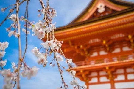 日本藝術大學留學費用需要多少？
