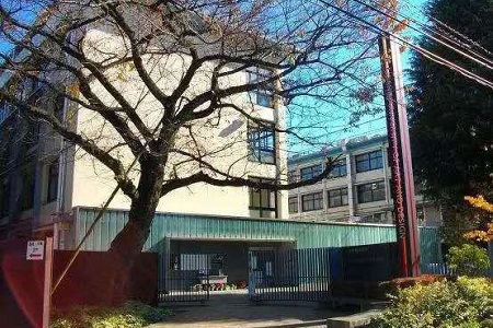 日本藝術(shù)大學(xué)有哪些專業(yè)？