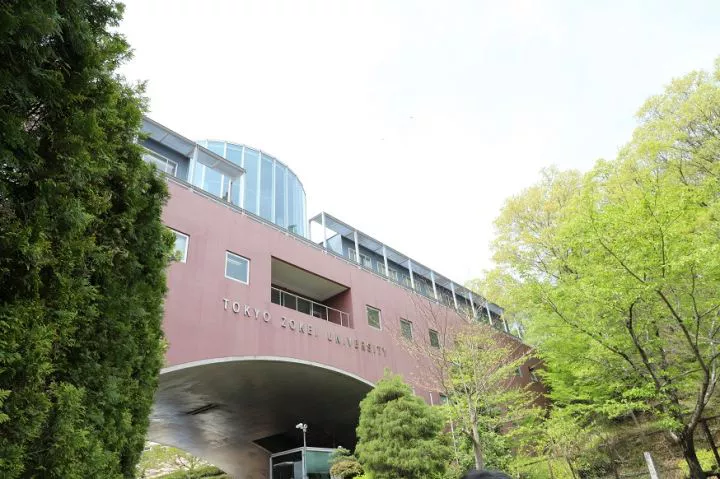 東京造型大學學歷中國承認嗎？