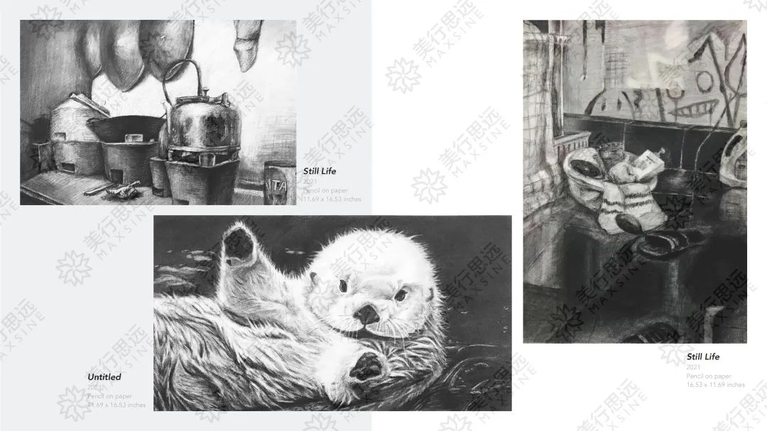 我在作品集中探討“人生大事”，斬獲Parsons、SVA等5所純藝offer及125萬獎學(xué)金！