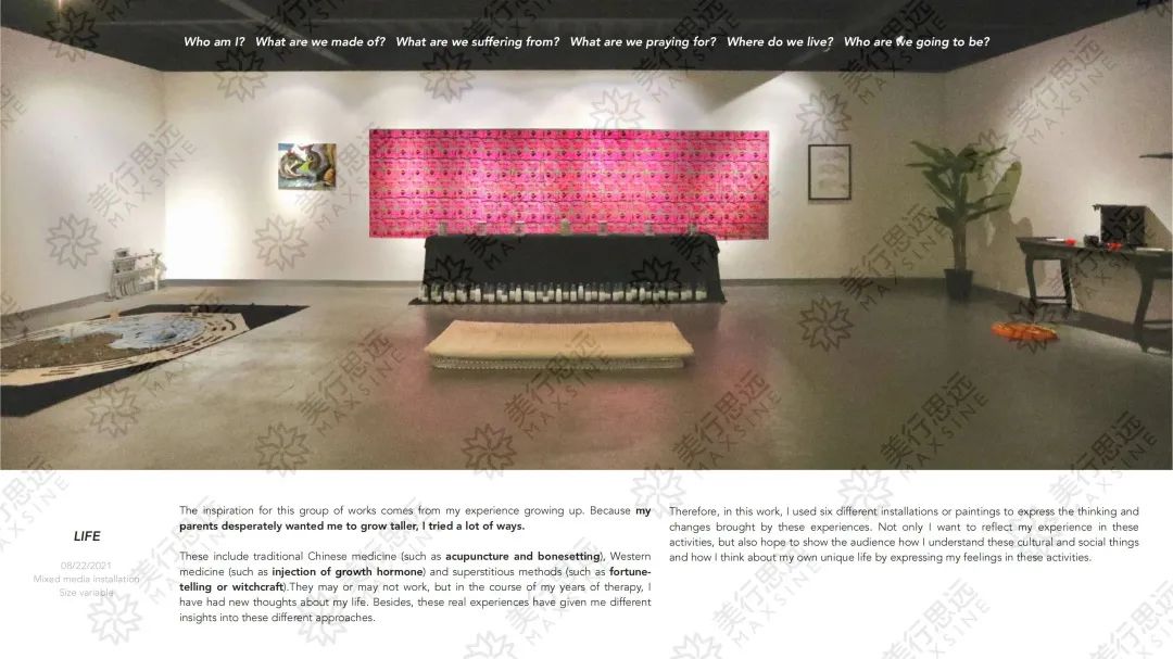 我在作品集中探討“人生大事”，斬獲Parsons、SVA等5所純藝offer及125萬獎學(xué)金！
