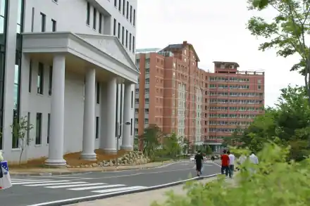 韓國光州大學(xué)排名第幾？