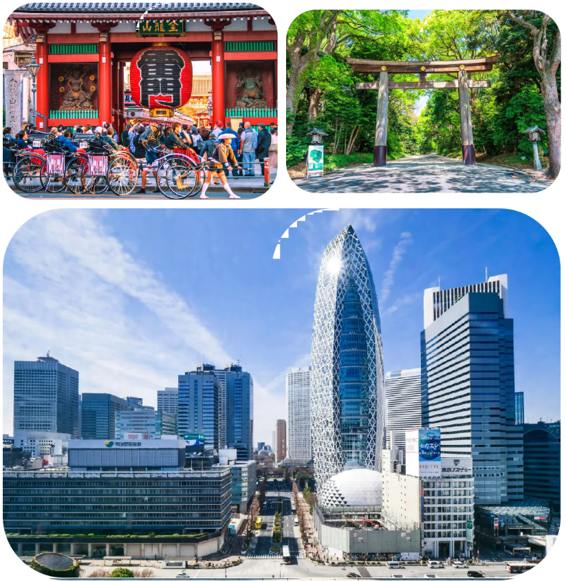 日本夏校 | 授予高含金量官方證書，深度體驗(yàn)日式“微留學(xué)”！