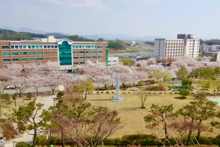 韓國世翰大學(xué)排名第幾？