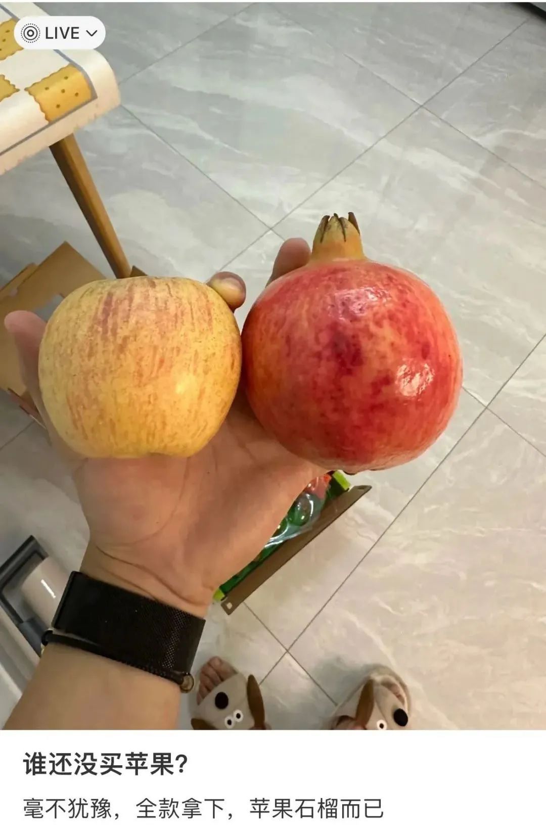科技與設(shè)計(jì)巔峰之作，iPhone 16系列強(qiáng)勢來襲，人工智能的“高光時刻”！