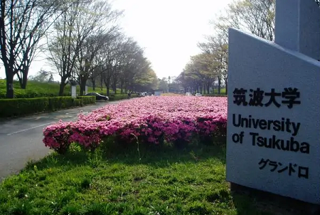 筑波大學(xué)日本排名第幾？