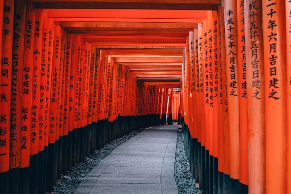 2025早申OFFER｜日本專場：京都精華、京都藝術(shù)等院校熱門專業(yè)齊亮相！