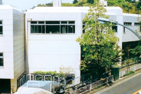 日本映畫大學世界排名如何？