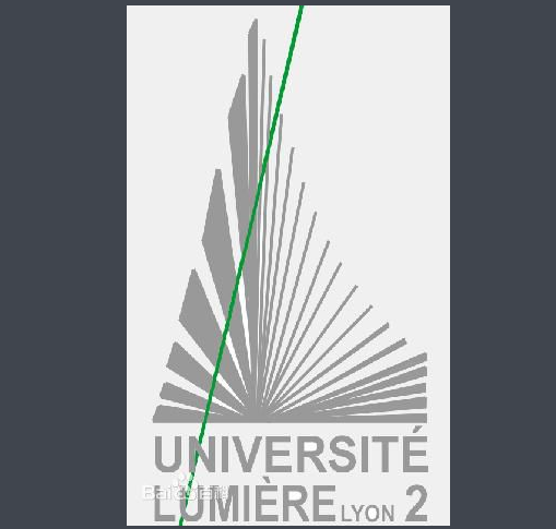 里昂第二大學