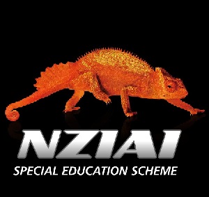 New Zealand International Animation Institute